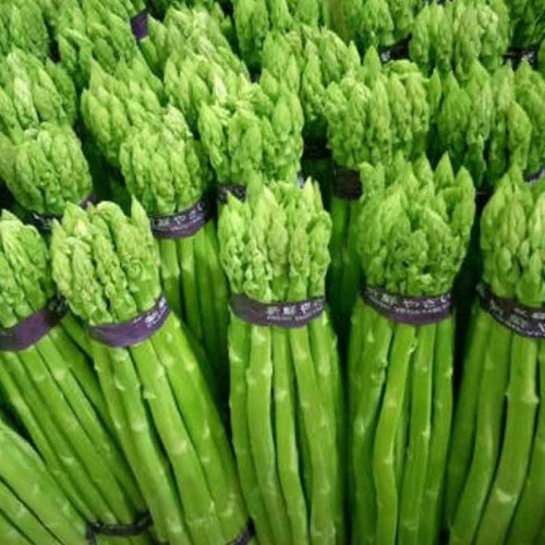 芦笋新鲜嫩绿芦笋切白根生态农家蔬菜